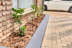 Ernabeni-Landscape-Design-and-Installation-45