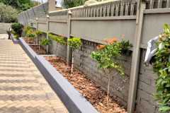 Ernabeni-Landscape-Design-and-Installation-47