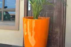 Ernabeni-Landscape-Design-and-Installation-7