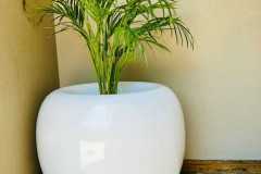 Ernabeni-Landscape-Design-and-Installation-8