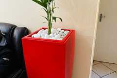 Ernabeni-Landscape-Design-and-Installation-9