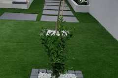 IMG-20241217-WA0070