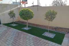 IMG-20241217-WA0081
