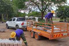 IMG-20241217-WA0101