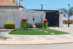 IMG-20241217-WA0103