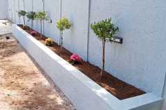 IMG-20241217-WA0137