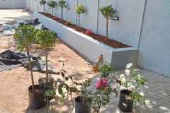 IMG-20241217-WA0138