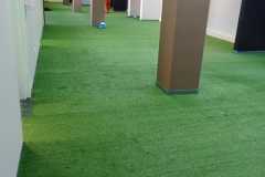 IMG-20241218-WA0009